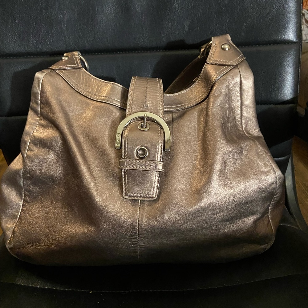 Metallic Bronze Women's Bag